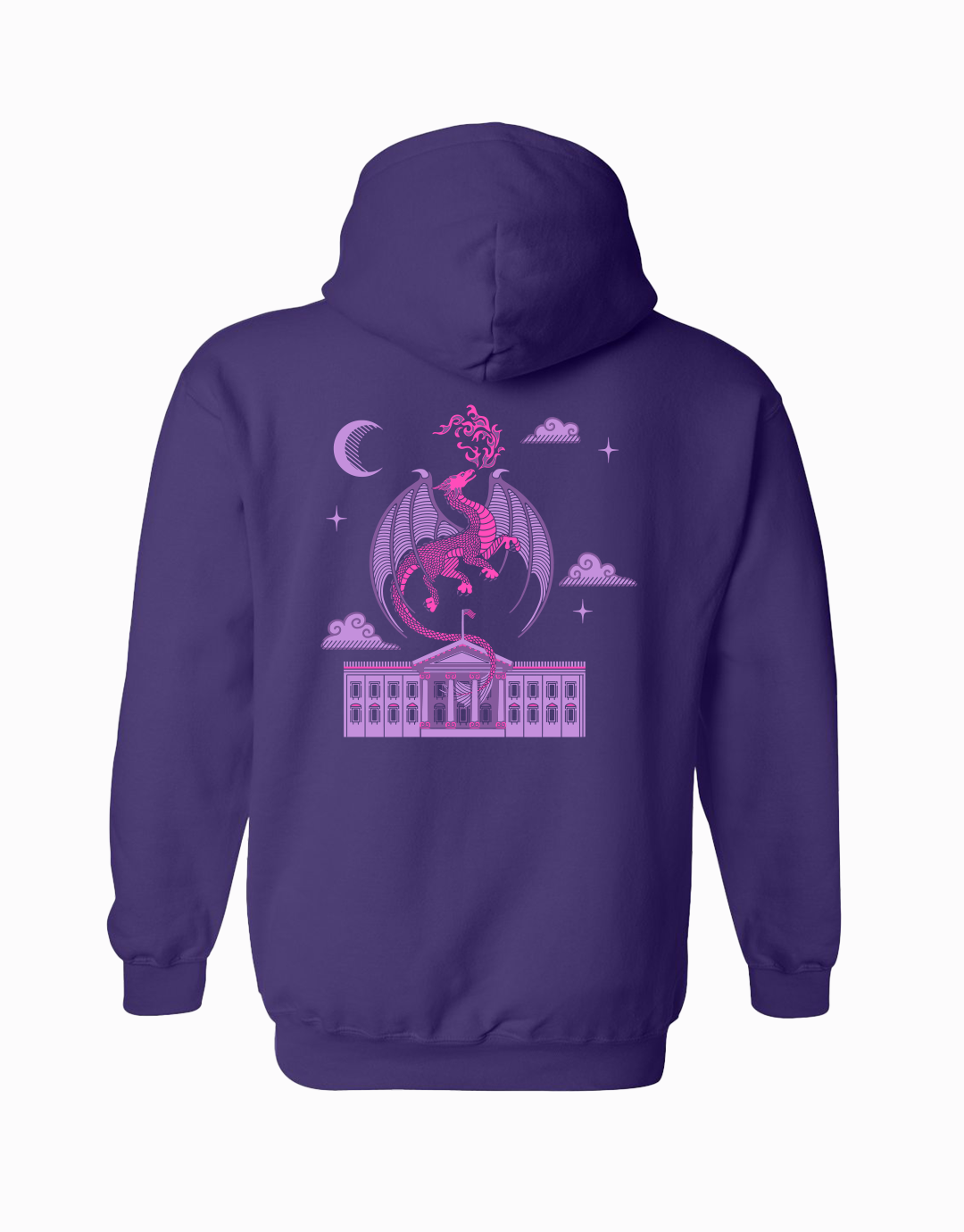 Voting Dragons Hoodie